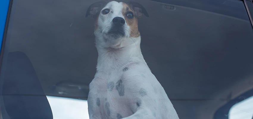 Car Lockout Solutions in Thousand Palms, California